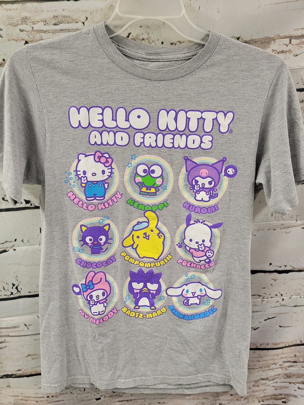 Hello Kitty & Friends Sanrio Graphic T-Shirt Gray Kawaii Y2K Cute Cartoon